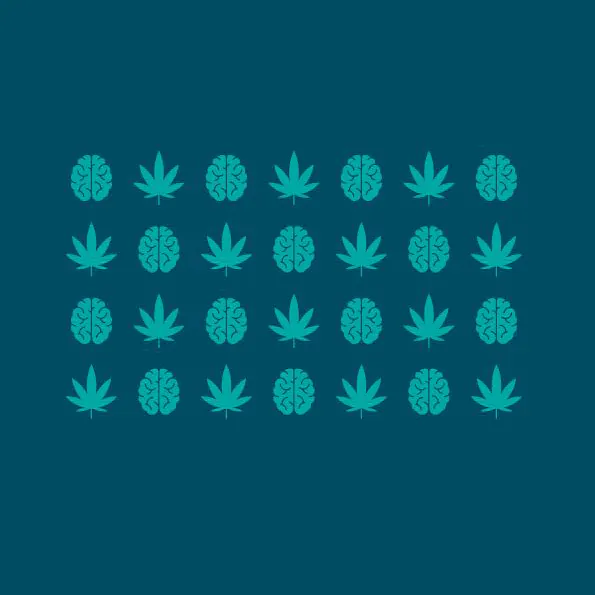 Cannabidiol en epilepsia